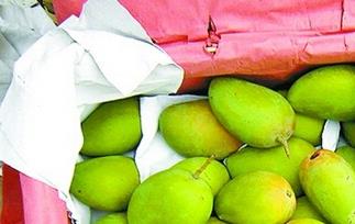 买来的青芒果怎么催熟 青芒果天然催熟法