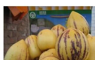 吃人参果有哪些功效和作用 吃人参果有哪些功效和作用呢