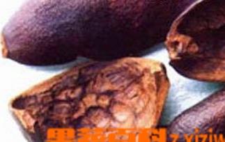 石榴皮图片（石榴皮图片大全）