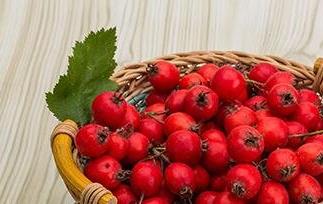 山楂壳的功效与作用及禁忌（山楂壳的功效与作用及禁忌）