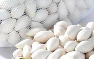 孕妇可以吃白果吗（孕妇可以吃白果吗 中期）