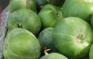 绿香瓜的作用（绿香瓜的作用和功效）