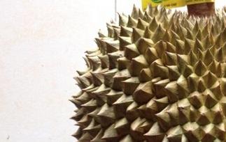 早上空腹能吃榴莲吗（早上空腹能吃榴莲吗）