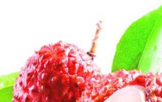 荔枝的功效与作用（荔枝的功效与作用吃法）