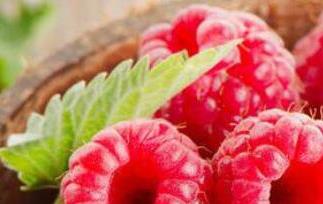 刺泡儿和覆盆子的区别（覆盆子有刺吗?）