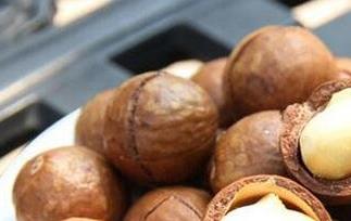 夏威夷果的营养价值（夏威夷果的营养价值及功效松子仁）