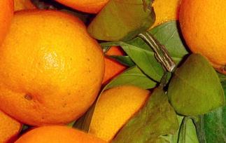 桔子吃了有什么好处（桔子吃了有哪些好处）