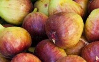 鲜无花果的功效与禁忌 鲜无花果的功效与禁忌有哪些