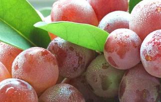 红提不能和什么一起吃 无籽红提不能和什么一起吃