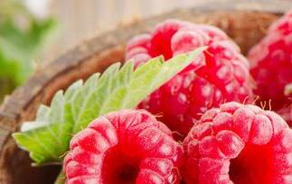 树莓的功效与作用 黑莓的功效与作用