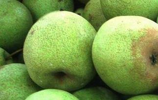翠冠梨的营养价值与功效（翠冠梨的营养价值与功效与作用）