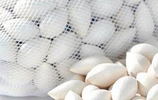 白果的营养价值与功效（白果的营养价值与功效禁忌）