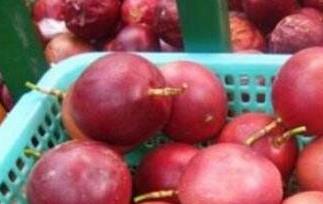 孕妇可以吃百香果吗（糖尿病孕妇可以吃百香果吗）