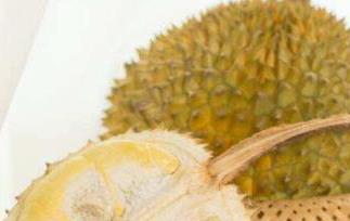 水果榴莲不能和什么一起吃（榴莲不能和啥水果一起吃）