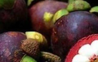 山竹怎么吃 山竹怎么吃里面的核能吃吗