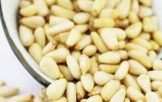 松籽仁的功效和作用 松籽仁的功效和作用及禁忌