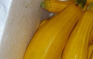 香蕉瓜是什么 香蕉瓜是什么样子