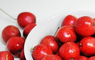 胭脂果的功效与作用 胭脂果的药用价值