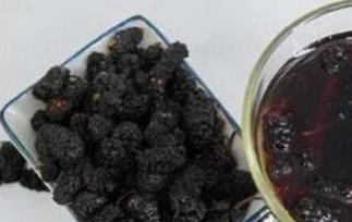 自制桑葚子酒的做法 桑葚子做酒怎么做