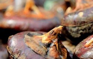 马蹄果的功效与作用（马蹄果的功效与作用生吃）