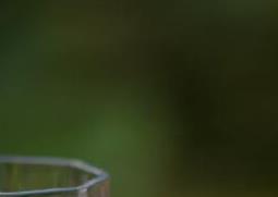 桃花酿的功效与作用（桃花酿的功效和作用）