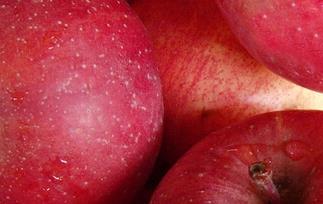 每天吃苹果的九大好处（每天吃苹果的九大好处有哪些）