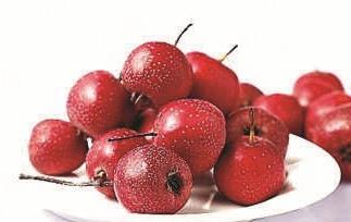 野山楂的功效与作用 野山楂的功效与作用禁忌