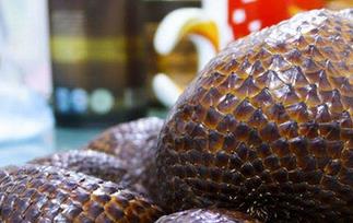 蛇皮果的营养价值与功效（蛇皮果的营养价值与功效与作用）