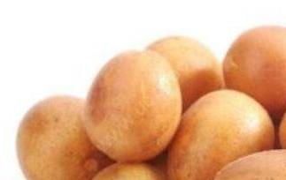 黄皮果的功效与作用及食用方法（黄皮果的功效与作用及食用方法禁忌）