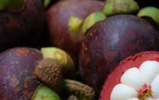 吃山竹有什么好处吗（吃山竹有什么好处吗百度百科）