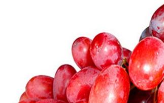 红葡萄和红提的区别(葡萄与红提的区别)