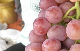 多吃红提有什么好处 常吃红提的好处