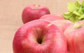 苹果的营养价值与功效(苹果的营养价值与功效秒懂)