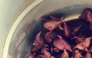 菱角怎么煮 菱角的做法大全