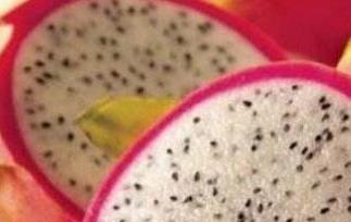 白色火龙果含花青素吗(白心火龙果含花青素吗?)