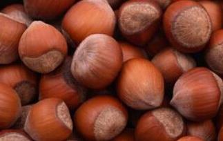 板栗和什么不能一起吃(板栗和什么不能一起吃 香哈)