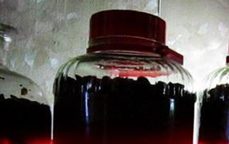 红提子酒的材料和酿制方法 红提子可以酿酒吗