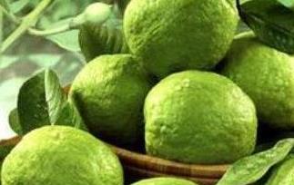 番石榴皮能吃吗 红心番石榴皮能吃吗