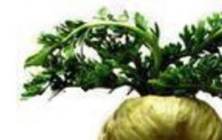 玛卡干果如何吃(玛卡干果吃法)