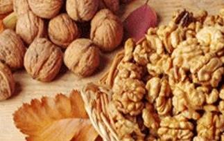 核桃仁皮的功效与作用(新鲜核桃仁皮的功效与作用)