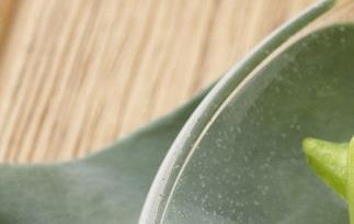 杨桃肉的功效与作用 杨桃肉的功效与作用及禁忌