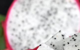 孕妇能吃火龙果吗（孕妇能吃火龙果吗孕晚期）