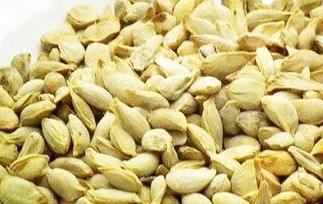 柚子籽的药用价值(柚子籽的药用功效与作用)