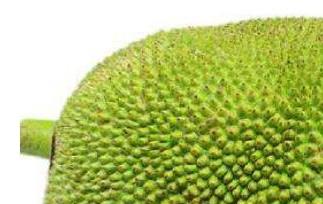 菠萝蜜怎么吃（菠萝蜜怎么吃最好）