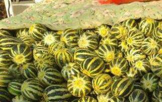 如何挑冰糖子甜瓜 如何挑冰糖子甜瓜好吃