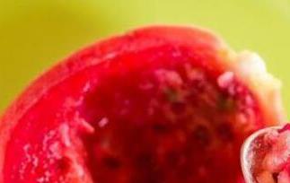 仙人掌果的功效与作用有哪些