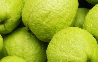 芭乐怎么催熟 芭乐催熟方法