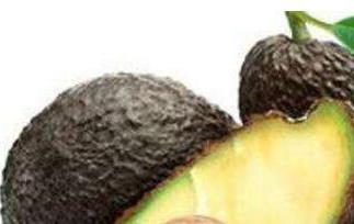 牛油果怎么吃好 8个月牛油果怎么吃好