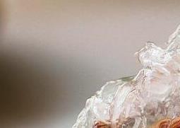 燕窝的功效与作用禁忌（什么人不能吃燕窝的功效与作用禁忌）