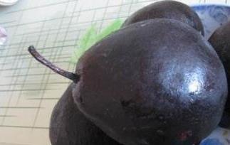 冻梨与什么相克（冻梨和什么相克）